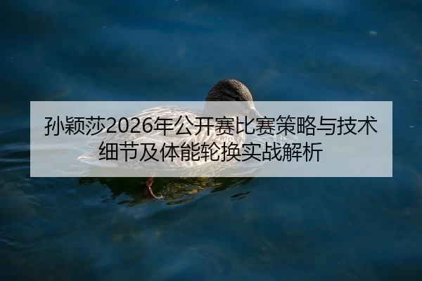孙颖莎2026年公开赛比赛策略与技术细节及体能轮换实战解析